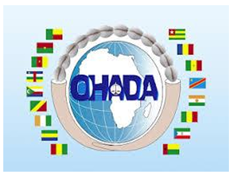 Droit des affaires/Droit OHADA